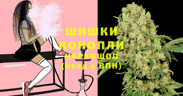 бошки Алексин