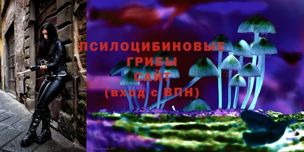 гидропоника Алексеевка