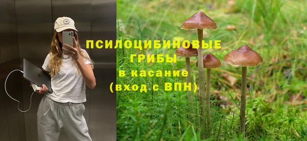 гидропоника Алексеевка