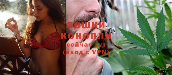 бошки Алексин