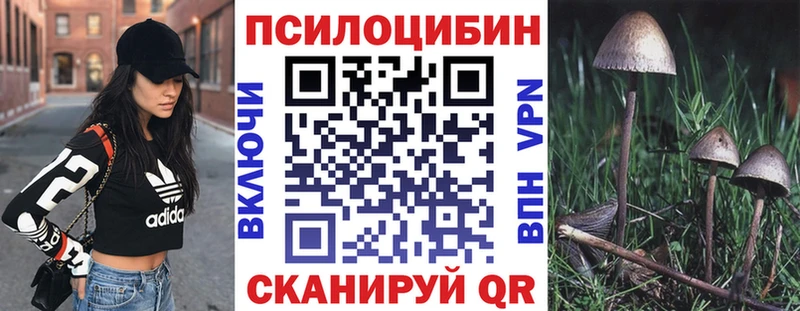 Псилоцибиновые грибы GOLDEN TEACHER  купить  сайты  Фурманов 